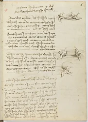 Birds Flight Code, c. 1505-06